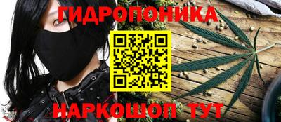 мескалин Гатчина