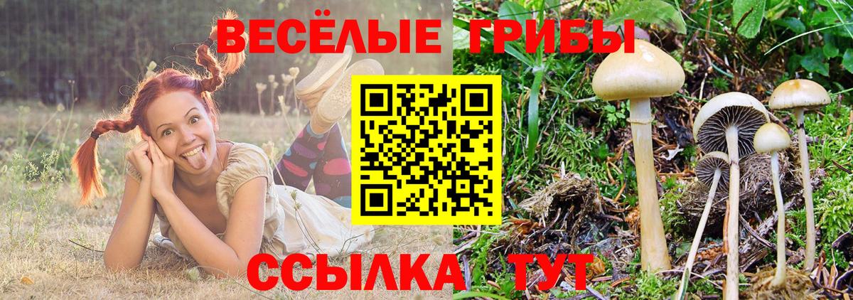 Галлюциногенные грибы ЛСД  Вход с VPN  Сарапул  Галлюциногенные грибы GOLDEN TEACHER 